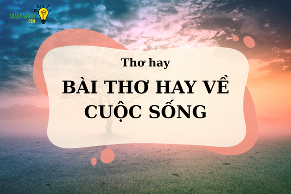 bài thơ hay về cuộc sống