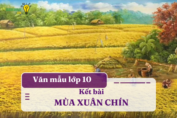 Kết bài Mùa Xuân Chín