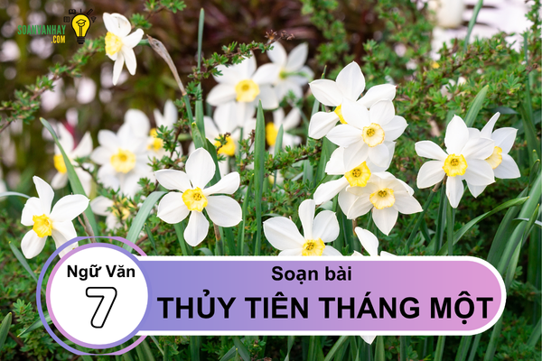Soạn bài Thủy tiên tháng một