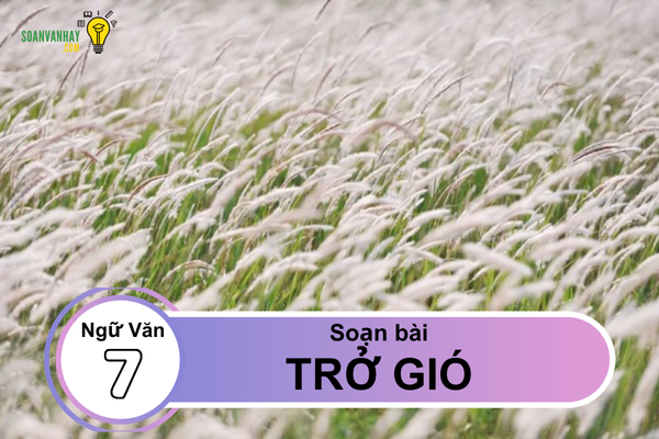 Soạn bài Trở gió ngắn nhất