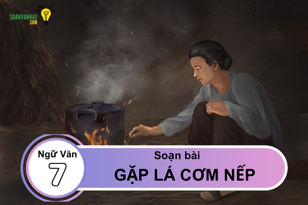 Soạn bài Gặp lá cơm nếp lớp 7
